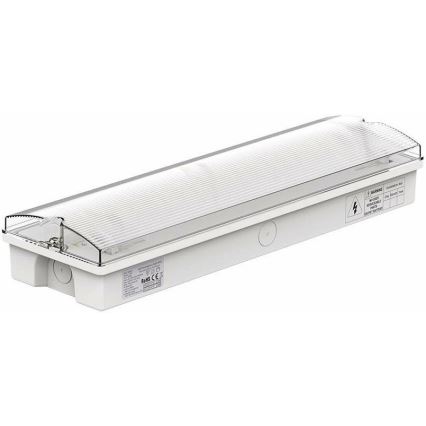 LED-Notleuchte mit regelmäßiger Funktionsprüfung EMERGENCY EXIT LED/3W/230V 6400K IP65