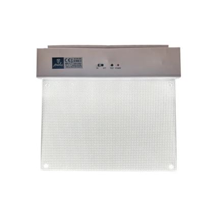 LED-Notleuchte LED/2W/230V 6000K