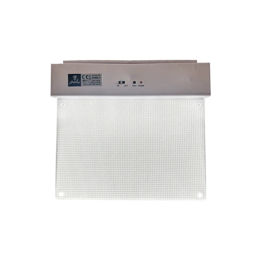 LED-Notleuchte LED/2W/230V 6000K