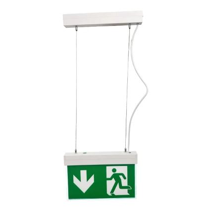 LED-Notleuchte LED/2W/230V 6000K