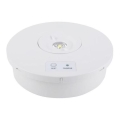LED-Notleuchte LED/2W/230V 6000K IP65 3200 mAh