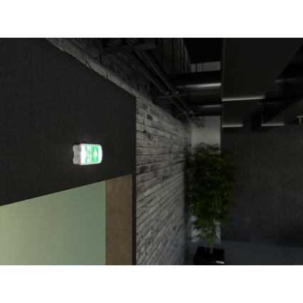 LED-Notleuchte VIRGO EVO LED/1W/230V 6000K IP65