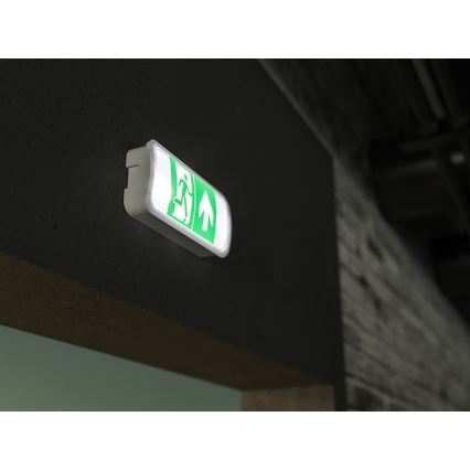 LED-Notleuchte VIRGO EVO LED/1W/230V 6000K IP65