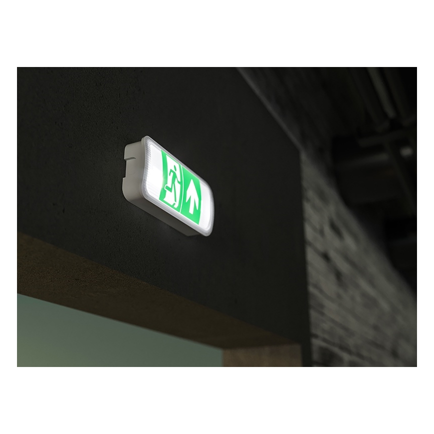 LED-Notleuchte VIRGO EVO LED/1W/230V 6000K IP65