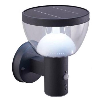 LED-Outdoor-Solarwandleuchte mit Sensor LARIX LED/3W/3,7V 2200 mAh IP44