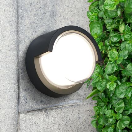 LED-Outdoor-Wandleuchte ESSEN LED/10W/230V IP44 schwarz