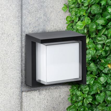 LED-Outdoor-Wandleuchte ESSEN LED/12W/230V IP44 schwarz