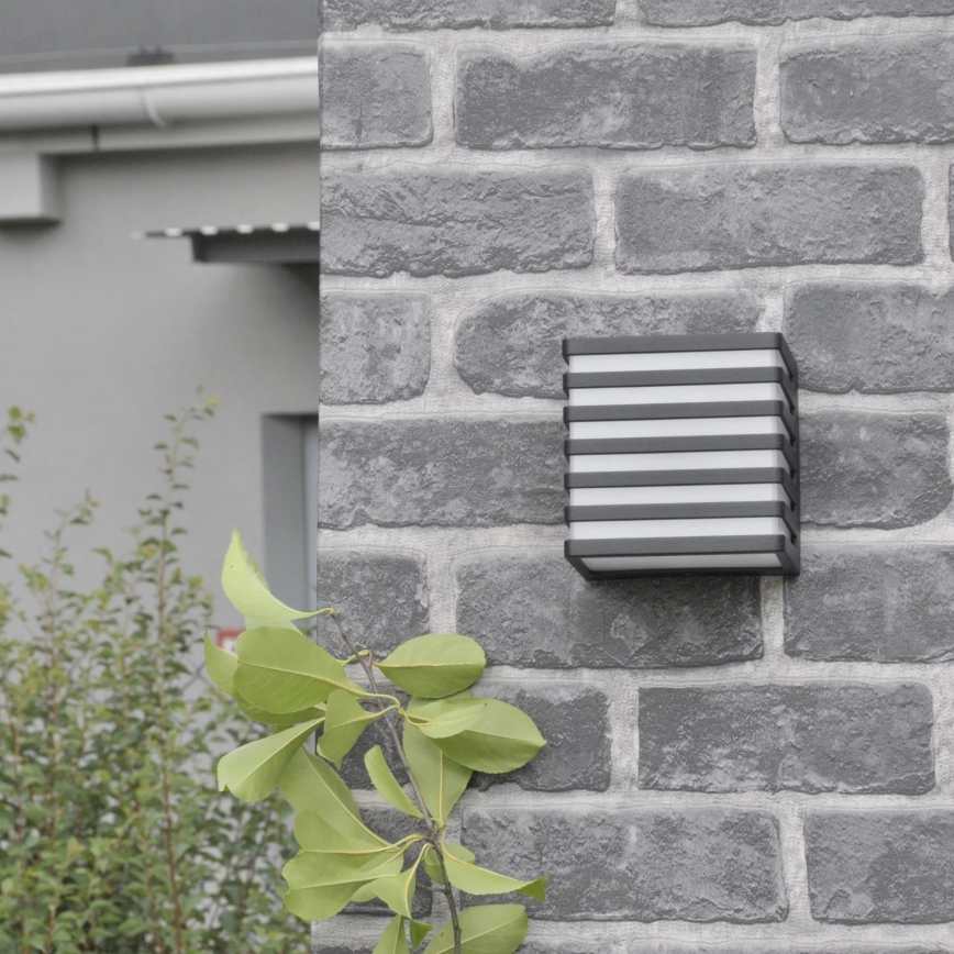 LED-Outdoor-Wandleuchte MAXWELL LED/10W/230V IP54 anthrazit