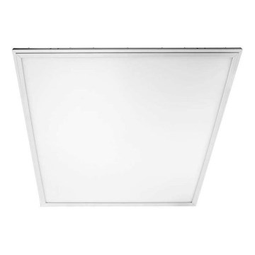 LED-Panel 2in1 LED/40W/230V 4000K 60x60 cm