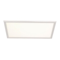 LED Panel LED/24W/230V 4000K