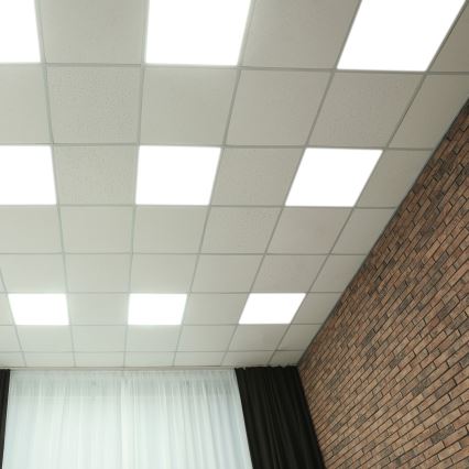 LED-Panel LED/48W/230V 4000K 60x60 cm