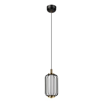 LED-Pendelleuchte an Kabel BONNIE LED/10W/230V 3000K schwarz