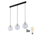 LED-Pendelleuchte an Kabel DEVON 3xE27/15W/230V schwarz/transparent