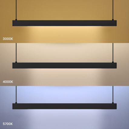 LED-Pendelleuchte an Kabel LINEA LED/36W/230V 3000/4000/5700K CRI 90 schwarz