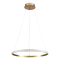 LED-Pendelleuchte an Seil DIANA LED/25W/230V 4000K Ø 50 cm goldfarben