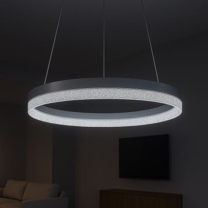 LED-Pendelleuchte an Stahlseil GALA LED/25W/230V Ø 50 cm silber