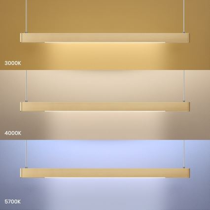 LED-Pendelleuchte an Stahlseil LINEA LED/36W/230V 3000/4000/5700K CRI 90 goldfarben