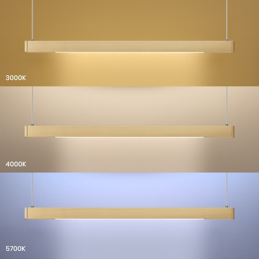 LED-Pendelleuchte an Stahlseil LINEA LED/36W/230V 3000/4000/5700K CRI 90 goldfarben