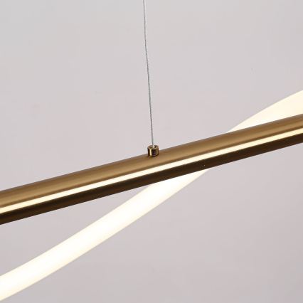 LED-Pendelleuchte an Stahlseil MELECA LED/24W/230V 3000/4000/6000K 100 cm goldfarben