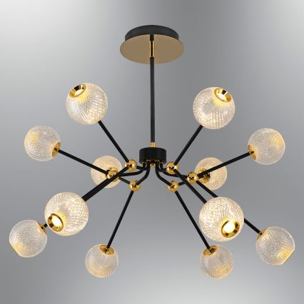 LED-Pendelleuchte an Stange GELA 12xLED/5W/230V 3000K schwarz/gold