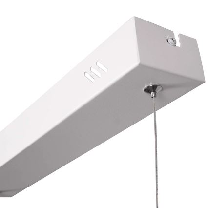 LED-Pendelleuchte BERNADETTA mit Drahtseilaufhängung LED/20W/230V 4000K weiß