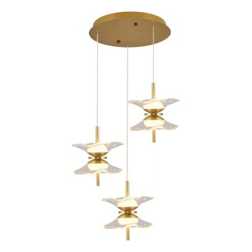 LED-Pendelleuchte mit Kabelaufhängung BUTTERFLY 6xLED/5W/230V 3000K Gold