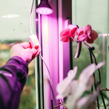 LED Pflanzenlampe PLANTY E27/7W/230V 1200K Schwarz