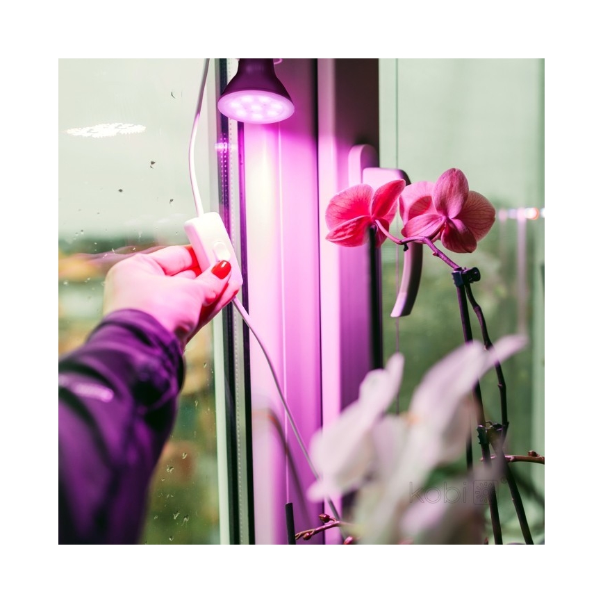 LED Pflanzenlampe PLANTY E27/7W/230V 1200K Schwarz