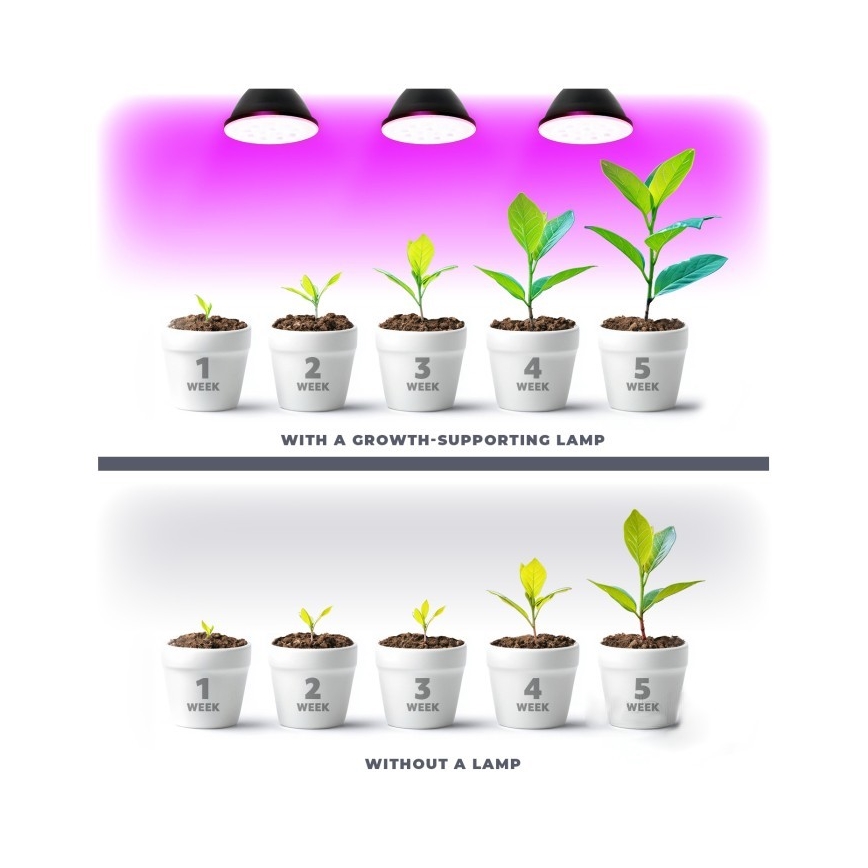 LED Pflanzenlampe PLANTY E27/7W/230V 1200K Schwarz