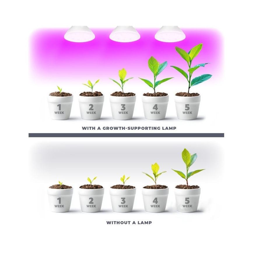 LED Pflanzenlampe PLANTY E27/7W/230V 1200K Weiß