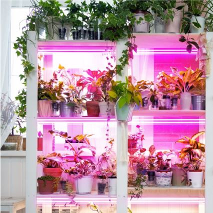 LED Unterbauleuchte für Pflanzenzucht GROWLY 2xLED/8,5W/230V weiß