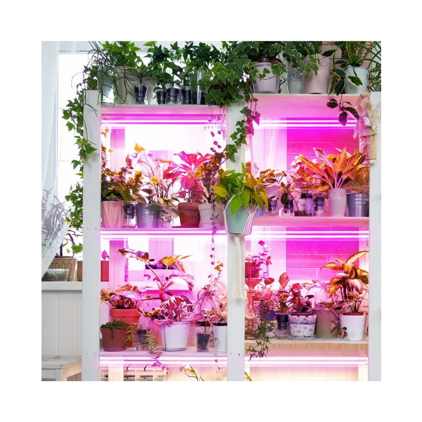 LED Unterbauleuchte für Pflanzenzucht GROWLY 2xLED/8,5W/230V weiß