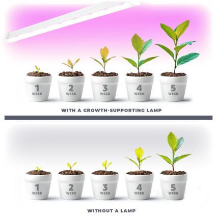 LED Unterbauleuchte für Pflanzenzucht GROWLY LED/9W/230V weiß