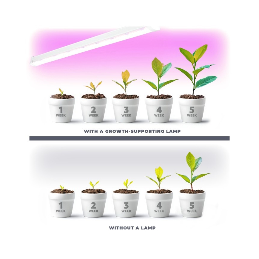 LED Unterbauleuchte für Pflanzenzucht GROWLY LED/9W/230V weiß