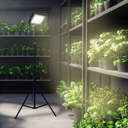 LED-Strahler mit Stativ für Pflanzenzucht FIRON LED/45W/230V IP54 schwarz