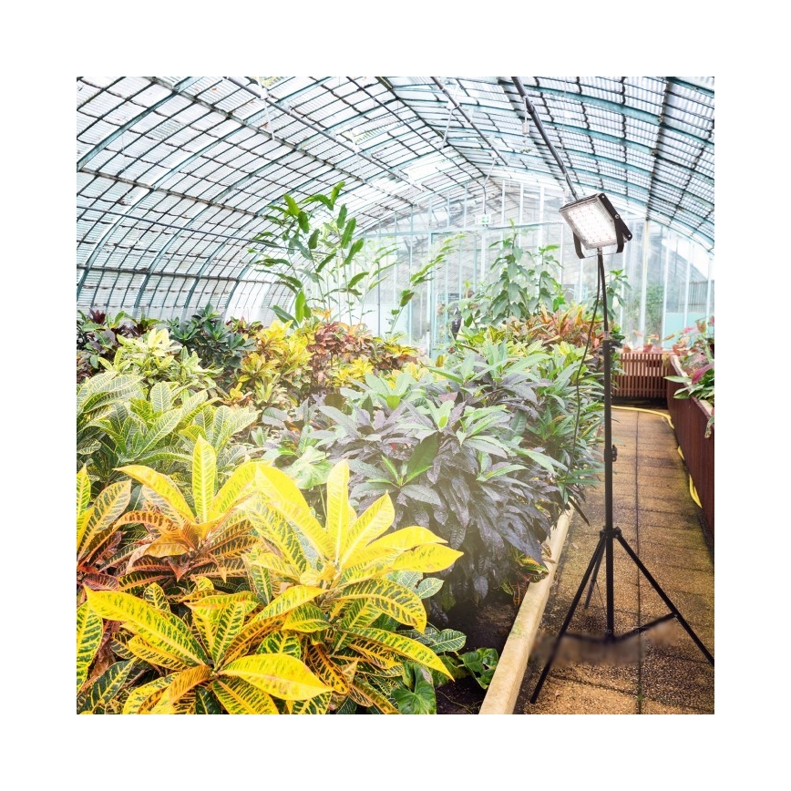 LED-Strahler mit Stativ für Pflanzenzucht FIRON LED/45W/230V IP54 schwarz