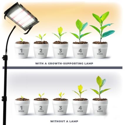 LED-Strahler mit Stativ für Pflanzenzucht FIRON LED/45W/230V IP54 schwarz