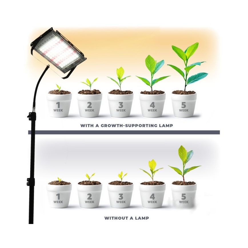 LED-Strahler mit Stativ für Pflanzenzucht FIRON LED/45W/230V IP54 schwarz