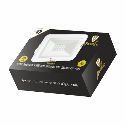 Nedes LF2121 - LED Reflektor LED/10W/230V IP65