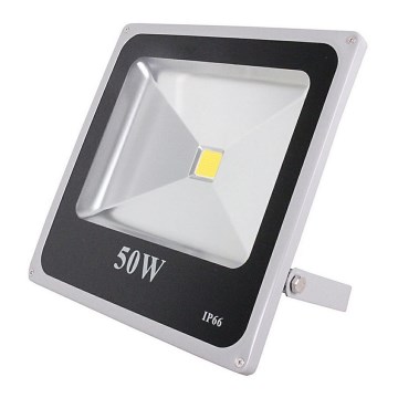 LED Reflektor LED/50W/160-300V IP66 grau