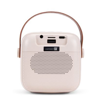 CONNECT IT CSP-1010-BG - LED RGB-Lautsprecher mit 2 kabellosen Mikrofonen, 5W/1200 mAh + 2x 400 mAh, creme/gold