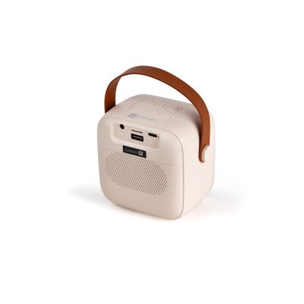 CONNECT IT CSP-1010-BG - LED RGB-Lautsprecher mit 2 kabellosen Mikrofonen, 5W/1200 mAh + 2x 400 mAh, creme/gold