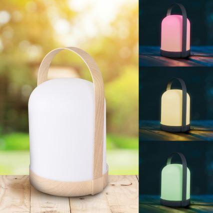 LED RGBW Dekorative Tischlampe MINORKA LED/0,3W/4,5V 3xAA