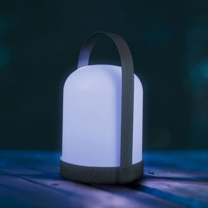 LED RGBW Dekorative Tischlampe MINORKA LED/0,3W/4,5V 3xAA