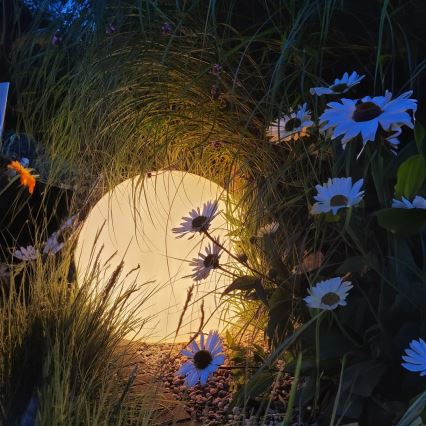 LED RGBW dimmbare Außenleuchte GLOBO 1xE27/12W/230V 2700–6500K Ø 30 cm IP44 Wi‑Fi