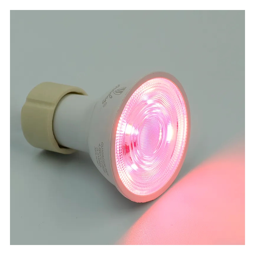 LED RGBW Dimmbar Lampe GU10/4,5W/230V 2700-6500K Wi-Fi Tuya