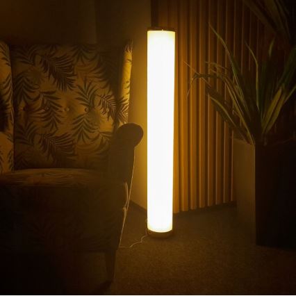 LED RGBW dimmbare Stehlampe STELLA LED/12W/230V + Fernbedienung