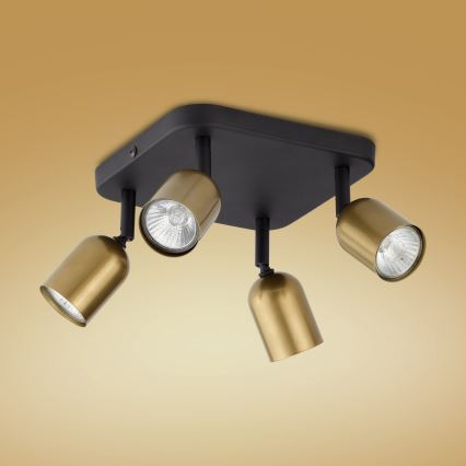 LED RGBW dimmbarer Deckenspot TOP 4xGU10/6,5W/230V 2700-6500K gold/schwarz