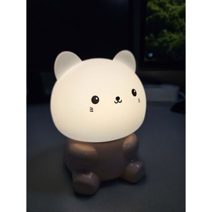 LED RGBW Kinderleuchte mit Touch-Funktion LED/1W/5V USB 1200 mAh kočka