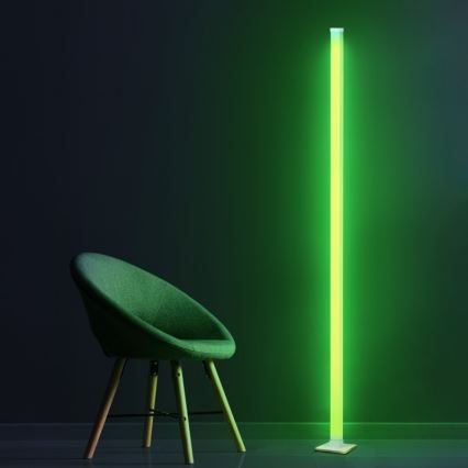 Dimmbare LED-RGBW-Stehleuchte MAGICAL LED/7W/230V + Fernbedienung